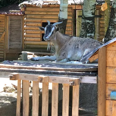 Glamping La Roulotte D'emilie Et Son Jacuzzi Privé *